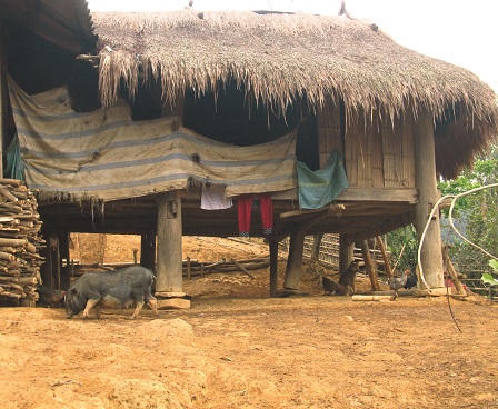 50 năm khoả thân ra đường vì chứng "sợ mặc quần áo"